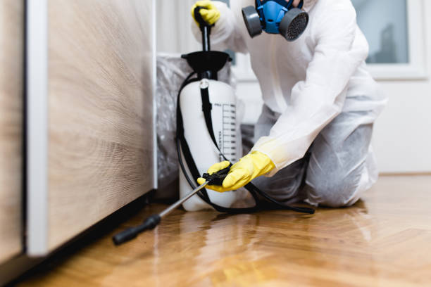 Pest Control for Restaurants in Caseyville, IL