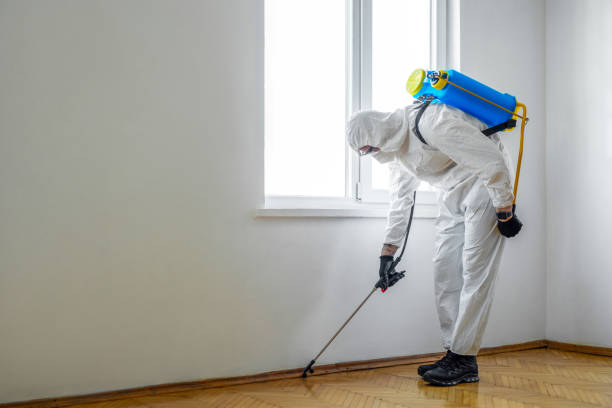 Best Wildlife Control Services  in Caseyvle, IL