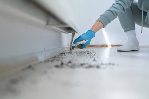 Best Best Pest Control Companies  in Caseyvle, IL